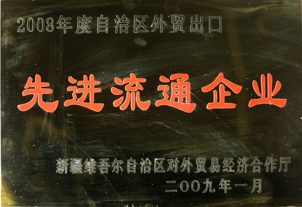 2009年新疆外贸出口先进企业